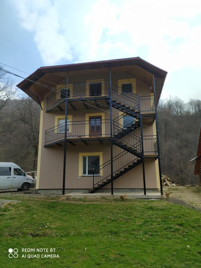 Panorama Apartment Borcut Exterior foto