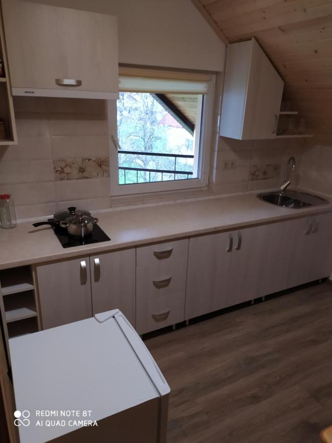 Panorama Apartment Borcut Exterior foto